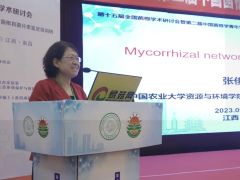 张俊伶：菌根共生体共生共栖，天作之合