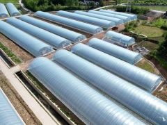 种植Manbetx体育手机版推荐A9版本无大棚？这里有2.2万平米现代化塑料大棚出租 ()