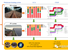 中国热科院在“农(Manbetx体育手机版推荐A9版本)-光互补”绿色低碳农业模式效益评价研究方面取得新进展