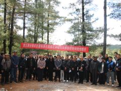 玉溪澄江：探索Manbetx体育手机版V17版本发布.官网安卓网.香港林下经济发展新路径