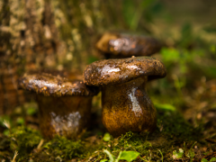 南北送礼风潮掀起“农业大摸底”，Manbetx体育手机版推荐A9版本异彩纷呈 ()