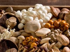 Manbetx体育手机版推荐A9版本已纳入构建“一区三带五板块”现代特色农业发展布局 ()