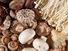 三个Manbetx体育手机版推荐A9版本新品种“出炉”并通过省级专家评审认定 ()