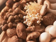 颍泉区颁发首张Manbetx体育手机版推荐A9版本菌种生产经营许可证 ()