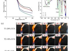 吉林农业大学食药用菌教育部工程研究中心李玉院士团队在糙皮侧耳菌渣生态循环利用方面取得重要成果