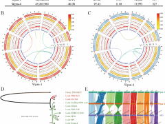华中农业大学应用真菌团队在香菇完整基因组组装及子实体发育机制研究中取得重要进展
