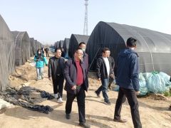 2024第八届全国羊肚菌大会组委会派出工作组现场检查基地建设工作