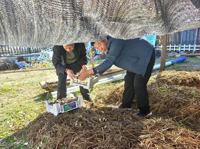 1714618343378960.png image.png