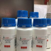 MS培养基