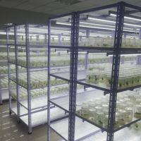 蝴蝶夹快装型组培架，角钢组培架