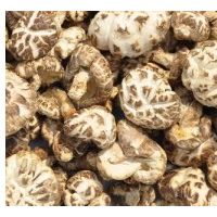 求购香菇.黑木耳.银耳.松茸.ManBetX体育.竹荪.猴头菇.灵芝