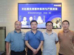 易菇访谈：Manbetx体育手机版推荐A9版本优质菌种鉴别与产前准备 (7)