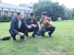 中国菌物学会理事长郭良栋一行深入井冈山农业科技园调研 (4)