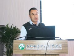 杜冰：天麻加工研究进展 ()