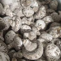 花菇干品自产自销各种规格大量供应
