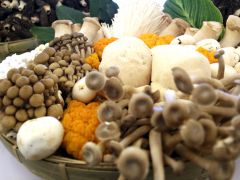 云南：出口果、菜、菌、花等企业可享受哪些便利化举措