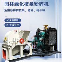 废弃树杈子打碎机杂木头粉碎机干湿可用