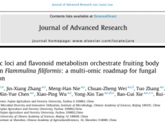 中国科学院微生物研究所赵瑞琳团队与福建农林大学谢宝贵团队合作揭示真菌色素形成的多组学路线图:双基因位点和黄酮类化合物代谢调控金针菇子实体黄颜色形成