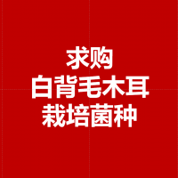 求购白背毛木耳栽培菌种