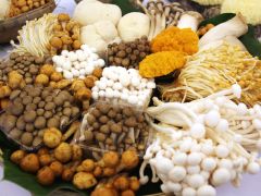 大寒——菌菇冬季养生推荐