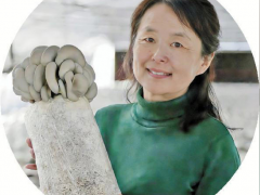 一粒菌种 丰收无限