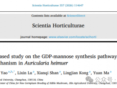 国家Manbetx体育手机版V17版本发布.官网安卓网.香港产业技术体系黑木耳品种改良岗位首次发现黑木耳抵御盐
