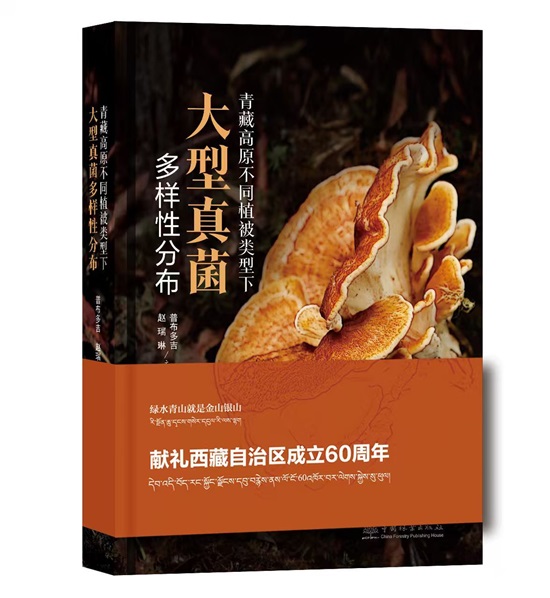 大型真菌多样性1 - 副本-550.jpg