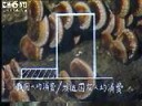 ManBetX体育