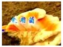 ManBetX体育