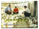 ManBetX体育