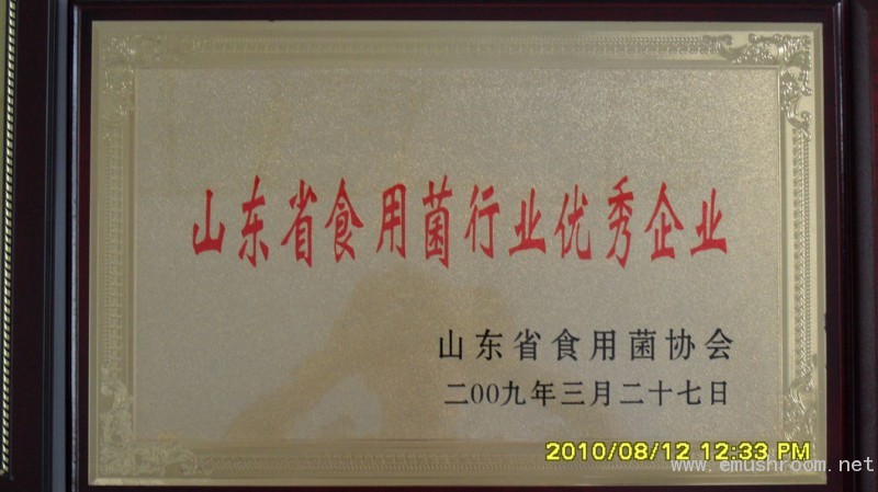 ManBetX体育