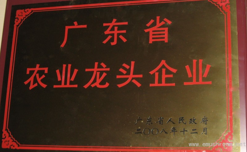 ManBetX体育