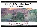 ManBetX体育