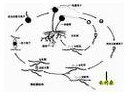ManBetX体育