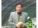 ManBetX体育