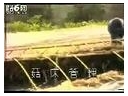ManBetX体育