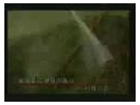 ManBetX体育