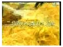 ManBetX体育