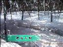 ManBetX体育