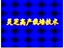 ManBetX体育