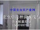 ManBetX体育