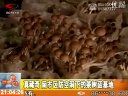 ManBetX体育