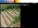 ManBetX体育
