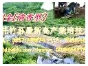 ManBetX体育