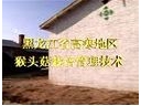 ManBetX体育