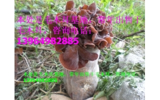 ManBetX体育