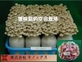 ManBetX体育