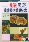 ManBetX体育