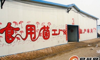 ManBetX体育