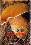 ManBetX体育